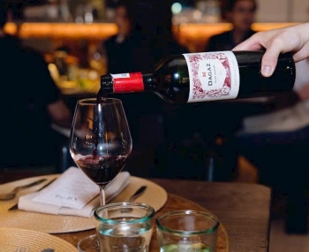 Rượu vang Chile Dagaz Klowe Cabernet Sauvignon cao cấp