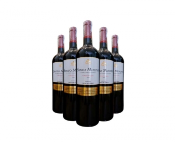 Rượu vang Chile Santo Molina