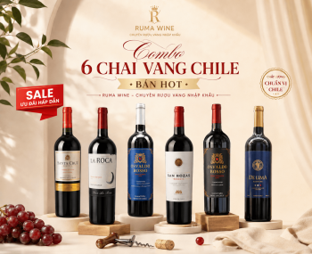 Combo 6 chai rượu vang Chile best seller