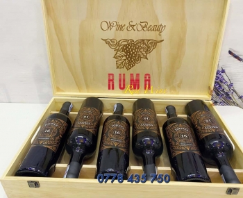 Quà tặng cao cấp 6 chai vang Ý Tolucci 16