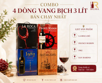 Combo 4 bình vang bịch 3 lít nhập khẩu