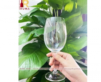 Bộ 6 ly thuỷ tinh uống rượu vang Sylvia 450ml