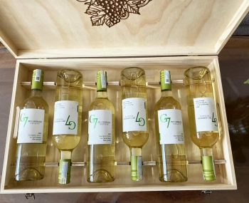 Quà tặng hộp gỗ 6 chai rượu vang Chile G7 Sauvignon Blanc