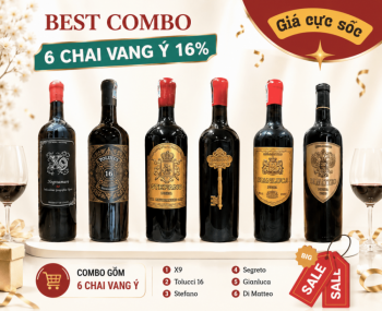 Combo 6 chai rượu vang Ý 16%