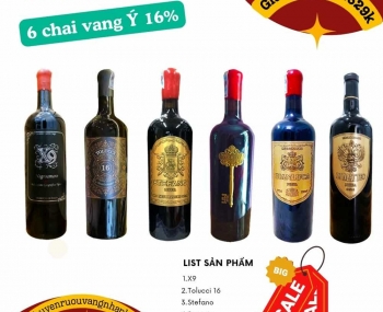 Combo 6 chai rượu vang Ý 16%