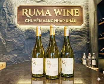Rượu vang Chile G7 Clasico Chardonnay