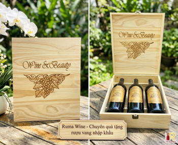 Quà tặng cao cấp 3 chai vang Chile Nando
