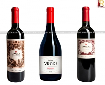 Rượu vang Chile nhập khẩu nguyên chai Dagaz