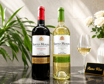 Rượu vang Chile Santo Molina