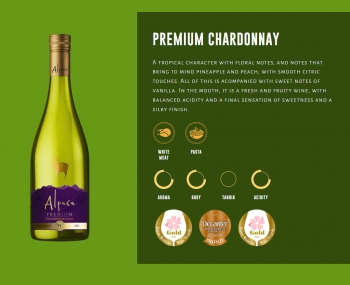 Rượu vang trắng Chile Alpaca Premium Chardonnay
