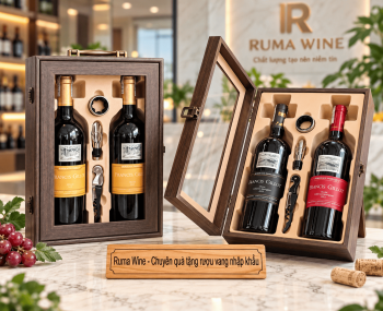 Quà tặng doanh nghiệp 2 chai vang Francis Gillot HK2