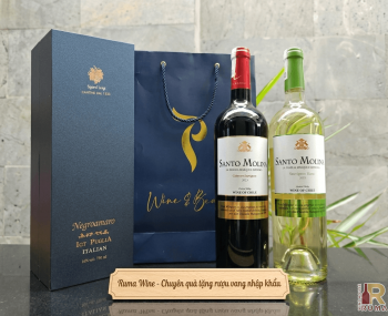 Quà tặng sang trọng HPK 1 chai vang Chile Santo Molina