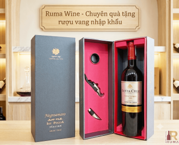 Quà tặng sang trọng HPK 1 chai vang Chile Santa Cruz