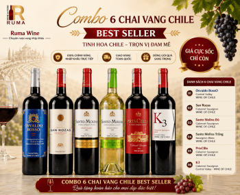 Combo 6 chai vang Chile uống ngon