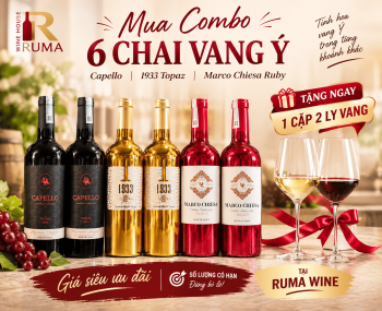 Combo 6 chai vang Ý siêu ưu đãi