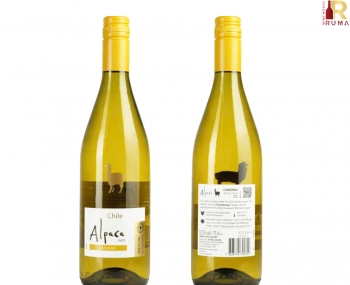 Rượu vang trắng Chile Alpaca Chardonnay