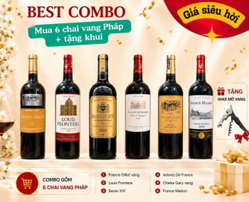 Combo 6 chai vang Pháp tặng khui