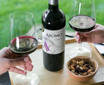 Rượu vang Chile Aromo Carmenere