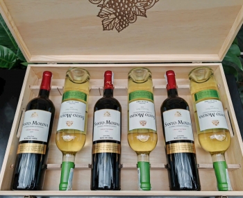 Quà tặng cao cấp 6 chai vang Chile Santo Molina