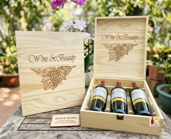 Quà tặng cao cấp 3 chai vang Chile Santa Cruz