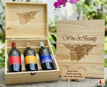 Quà tặng cao cấp 3 chai vang Chile Julio Lopez