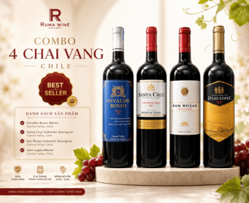Combo 4 chai vang Chile nhập khẩu