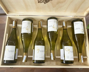 Quà tặng hộp gỗ 6 chai rượu vang Chile G7 Chardonnay