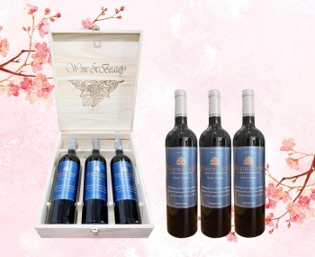 Quà tặng cao cấp 3 chai vang Chile Martin Cortes