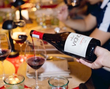 Rượu vang Chile Dagaz Vigno Carignan cao cấp
