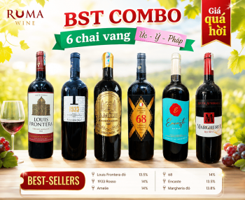 Combo 6 chai rượu vang Úc - Ý - Pháp