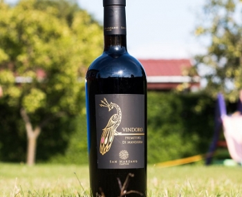 Rượu vang Ý Vindoro Negroamaro