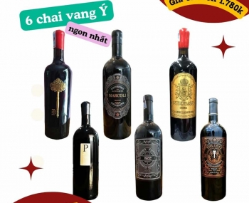 Combo 6 chai rượu vang Ý chất lượng