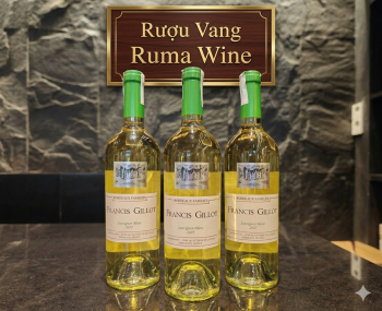 Rượu vang Pháp Francis Gillot Sauvignon Blanc (vang trắng)