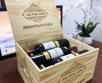 Quà tặng cao cấp 6 chai vang Chile Santo Molina