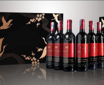Rượu vang Pháp Chateau Lynch Moussas 2019