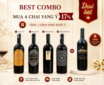 Combo 4 chai rượu vang Ý 17% tặng 1 chai