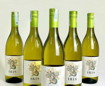 Rượu vang Chile Iris Chardonnay