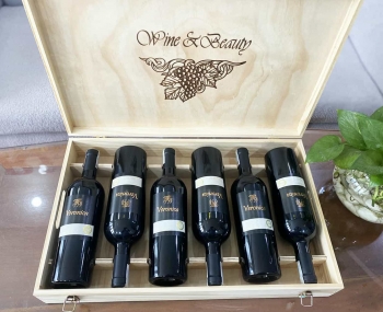 Quà tặng cao cấp 6 chai vang Ý Veronica Semi