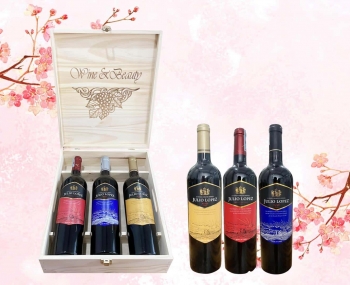 Quà tặng cao cấp 3 chai vang Chile Julio Lopez