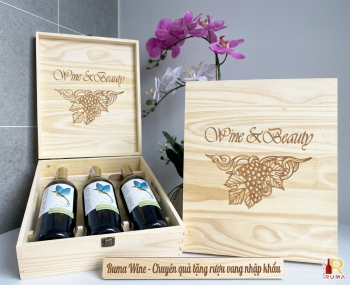 Quà tặng cao cấp 3 chai vang Tây Ban Nha Dani Altis