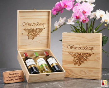 Quà tặng cao cấp 3 chai vang Chile Santo Molina
