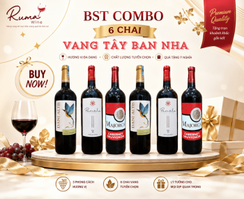 Combo 6 chai rượu vang Tây Ban Nha