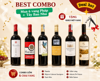 Combo 6 chai rượu vang Pháp và Tây Ban Nha