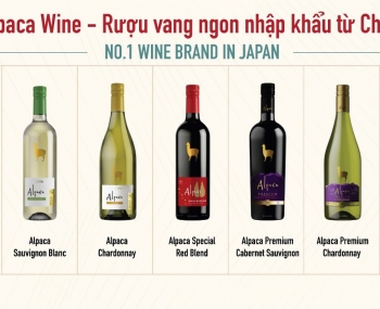 Rượu vang Chile nhập khẩu nguyên chai Alpaca