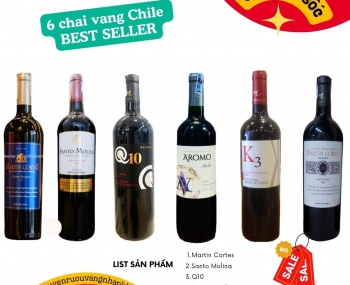 Combo 6 chai rượu vang Chile best seller