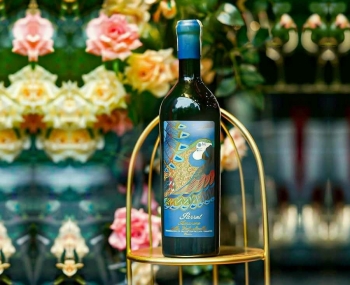 Rượu vang Ý cao cấp Parrot Amarone