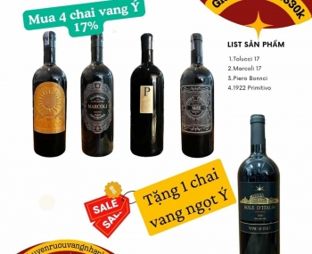 Combo 4 chai rượu vang Ý 17% tặng 1 chai