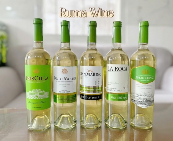Rượu vang trắng Chile nhập khẩu