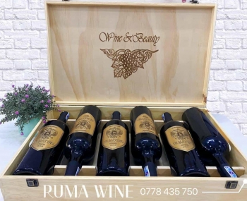 Quà tặng cao cấp 6 chai vang Ý Di Matteo