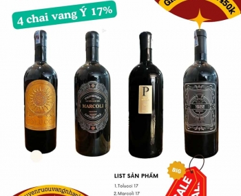 Combo 4 chai rượu vang Ý 17%